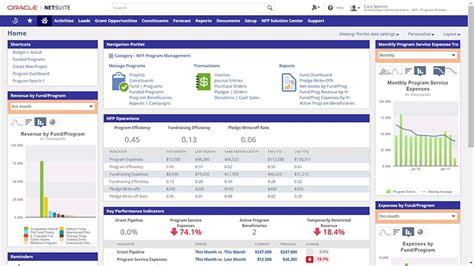 charity reports netsuite|Social Impact for Nonprofit Organizations .